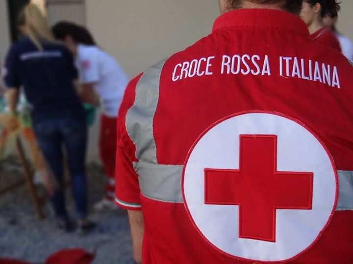 Organizzazione
